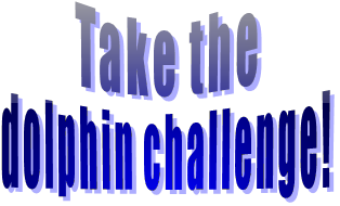 Take the dolphin challenge!